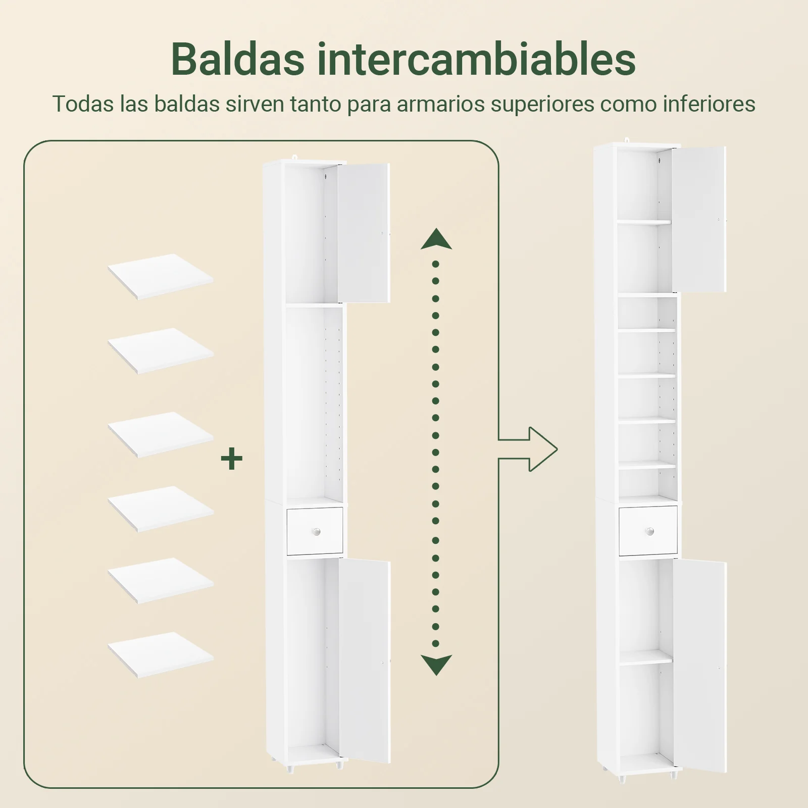 Imagen del producto 5