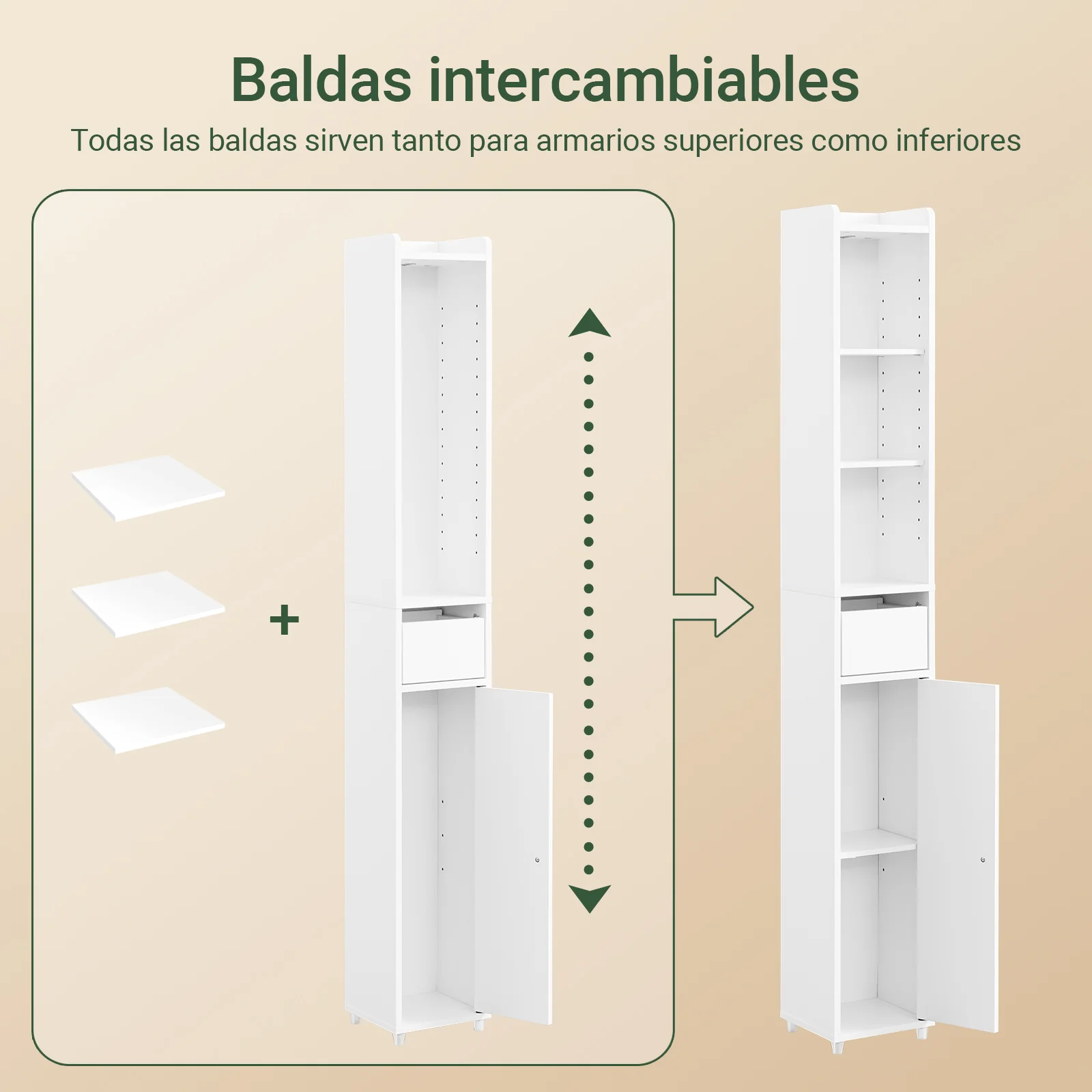 Imagen del producto 5